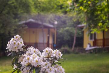 Фото номера Бунгало Дома для отпуска 23 persons Bungalow in the heart of nature and family facilities г. Kamena 11