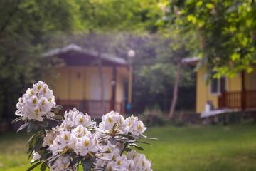 Фото номера Бунгало Дома для отпуска 2 persons Bungalow in lovely and familial area г. Kamena 39